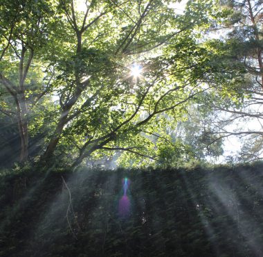 Sunny rays in Charlton on Otmoor